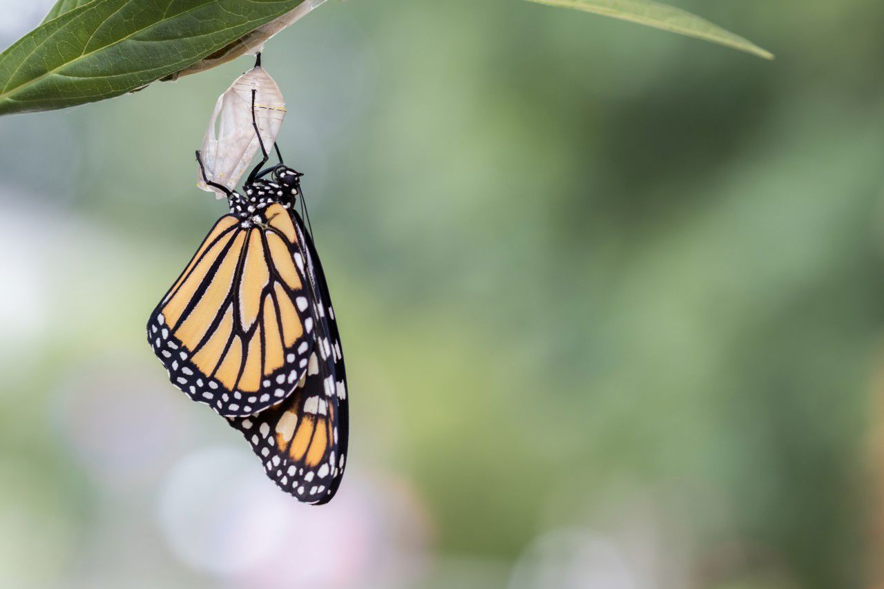 featured-image