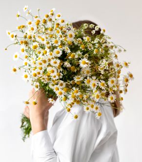 featured-image